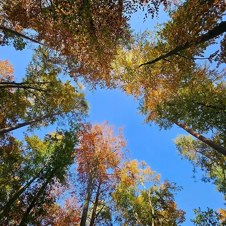 Holiday home Sternchen 2 Schwarz (Mecklenburgische Seenplatte)